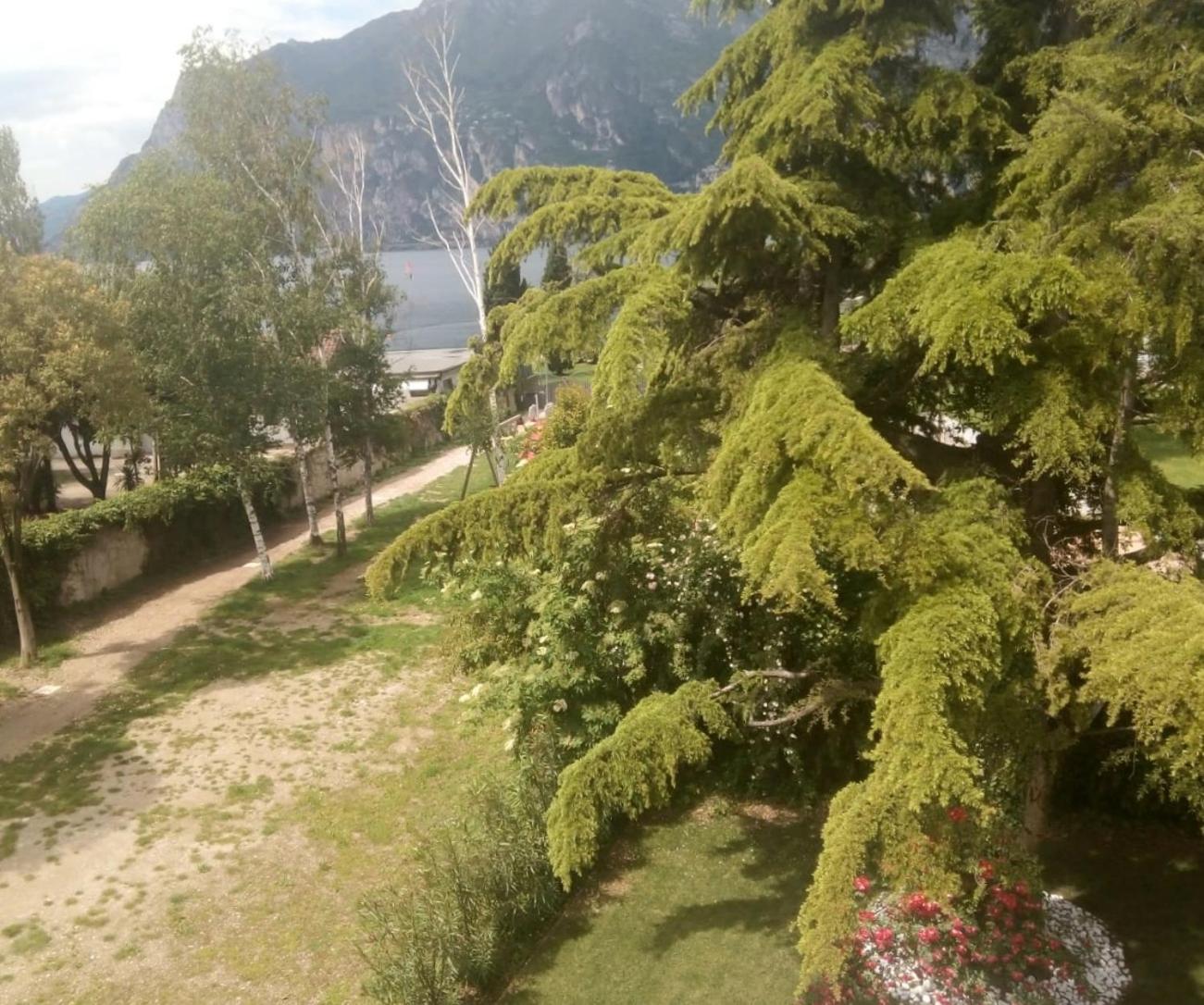 Villa Torbole Torbole Sul Garda ภายนอก รูปภาพ